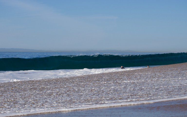 _DSC6648.jpeg