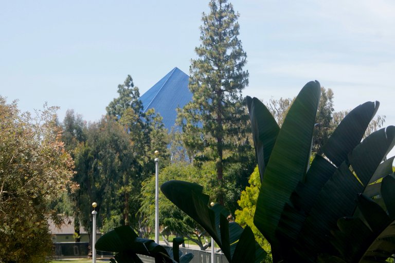 _DSC1305.jpeg