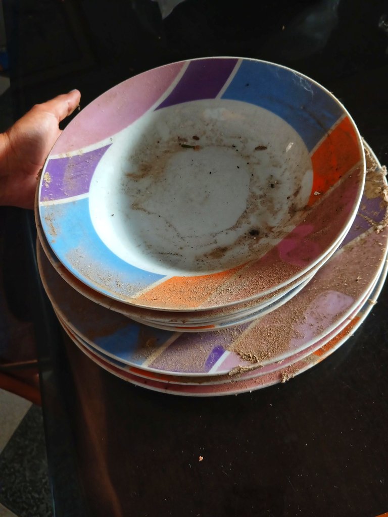 20250323_162351.jpg