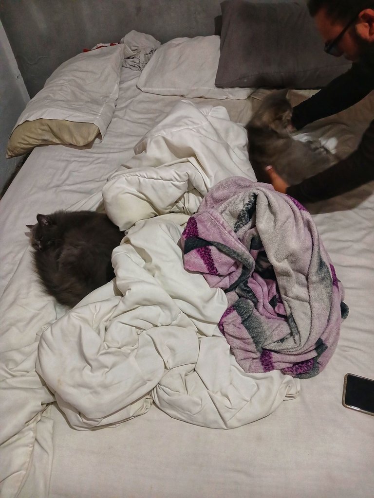 20250413_134415.jpg