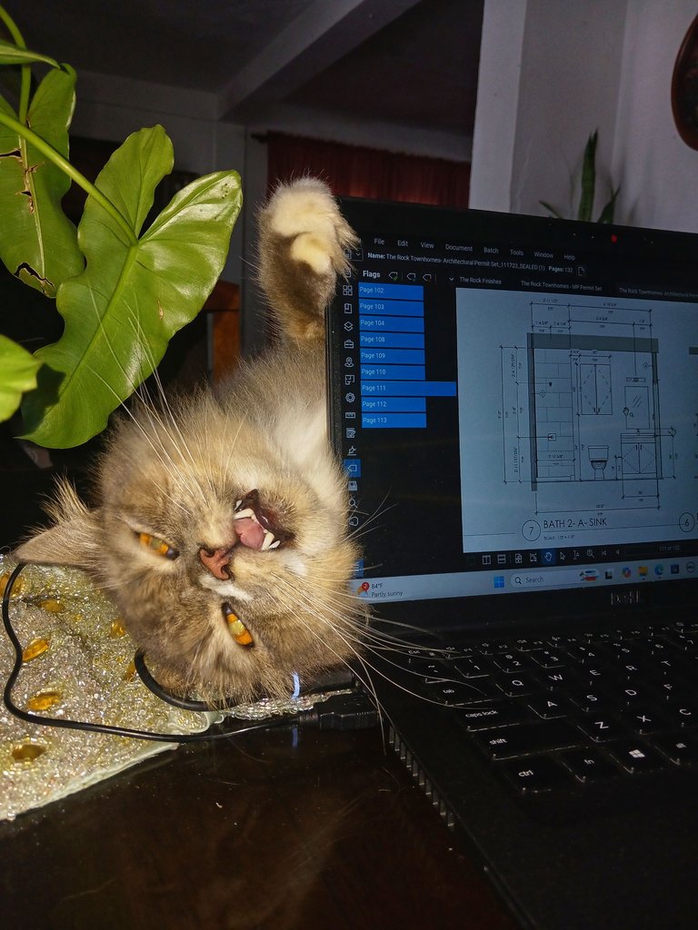 20250621_115648.jpg
