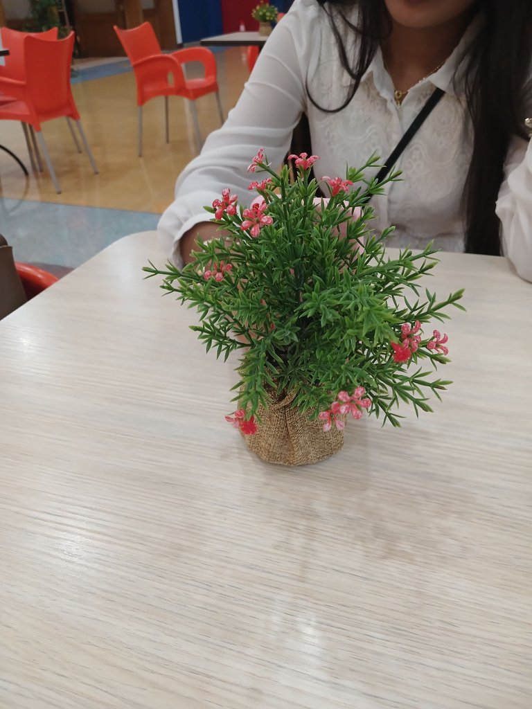 20250726_191645.jpg