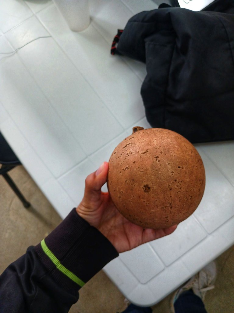 20250408_111657.jpg
