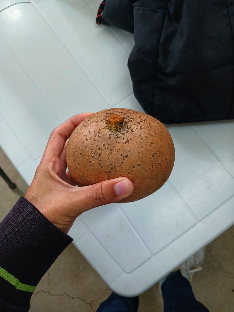 20250408_111655.jpg