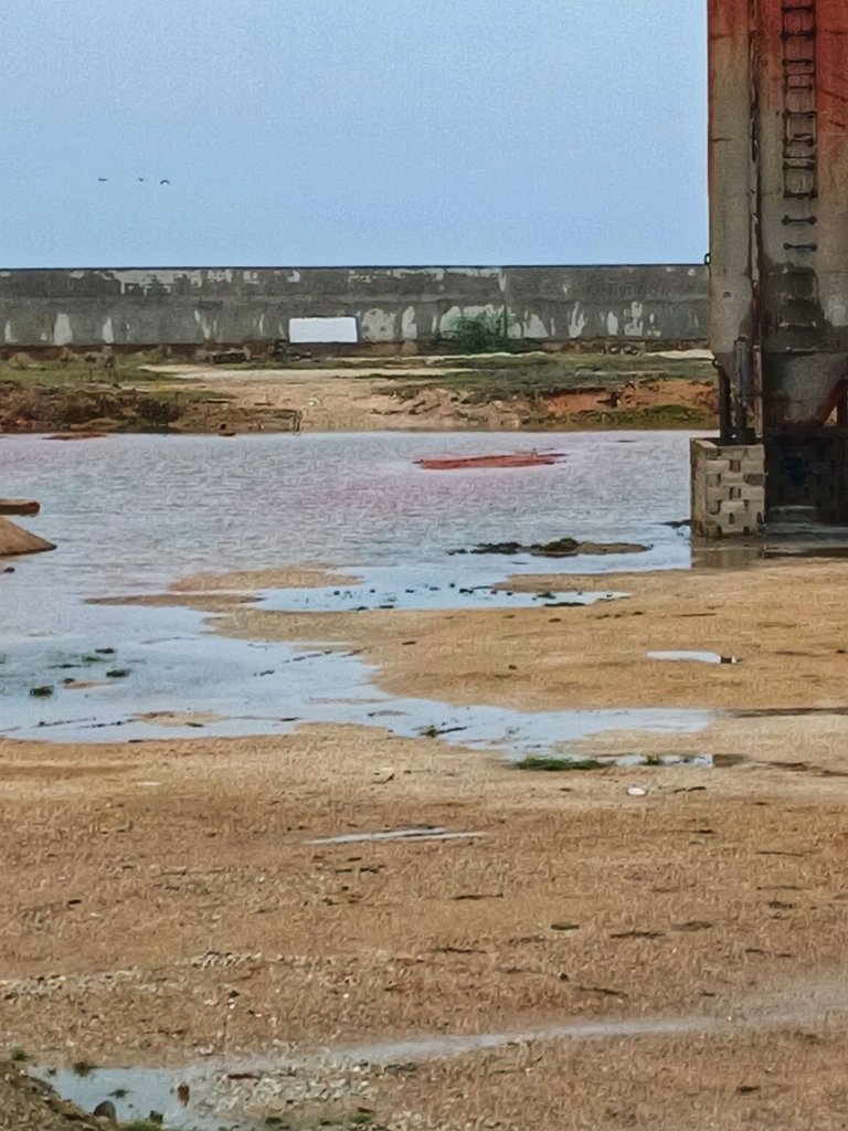 20250612_135430.jpg