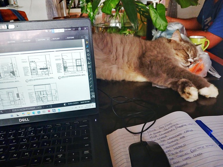 20250614_101230.jpg