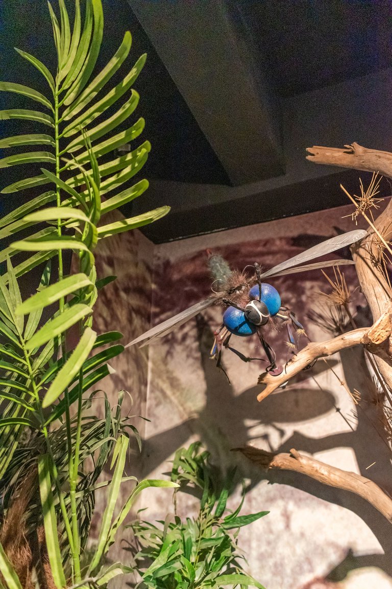 _DSC0180-1.jpg