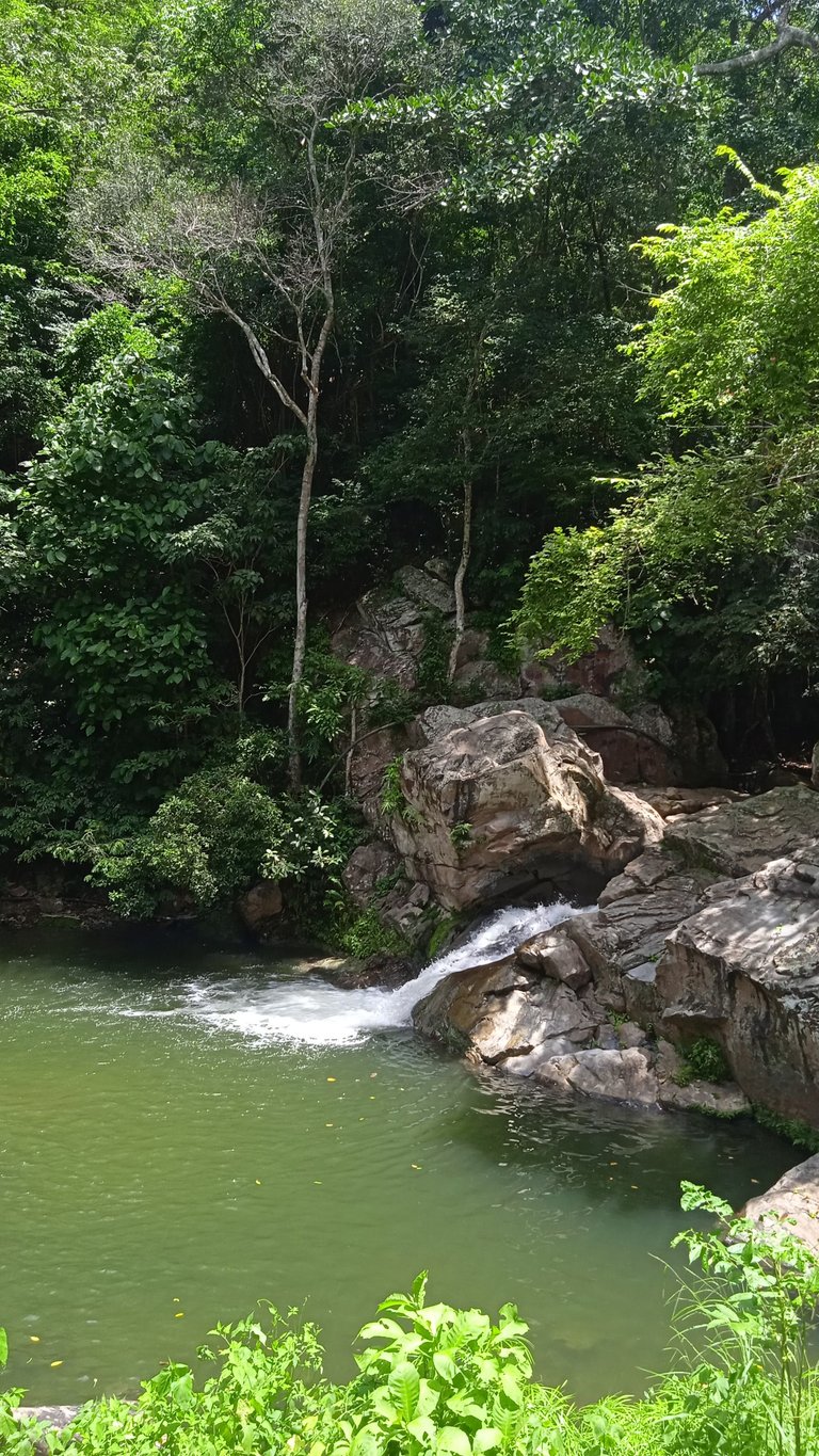 IMG_20250713_121612.jpg