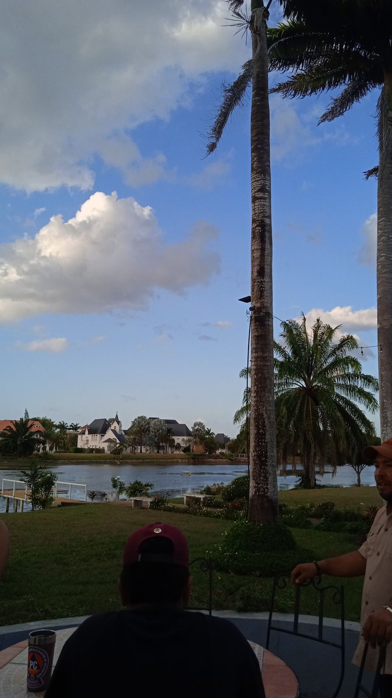 IMG_20250319_172152.jpg