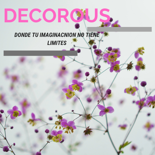 DECOROUS.png