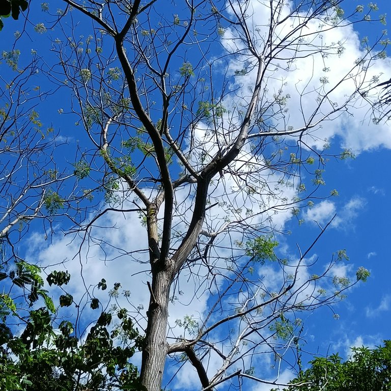 IMG20250424140030.jpg