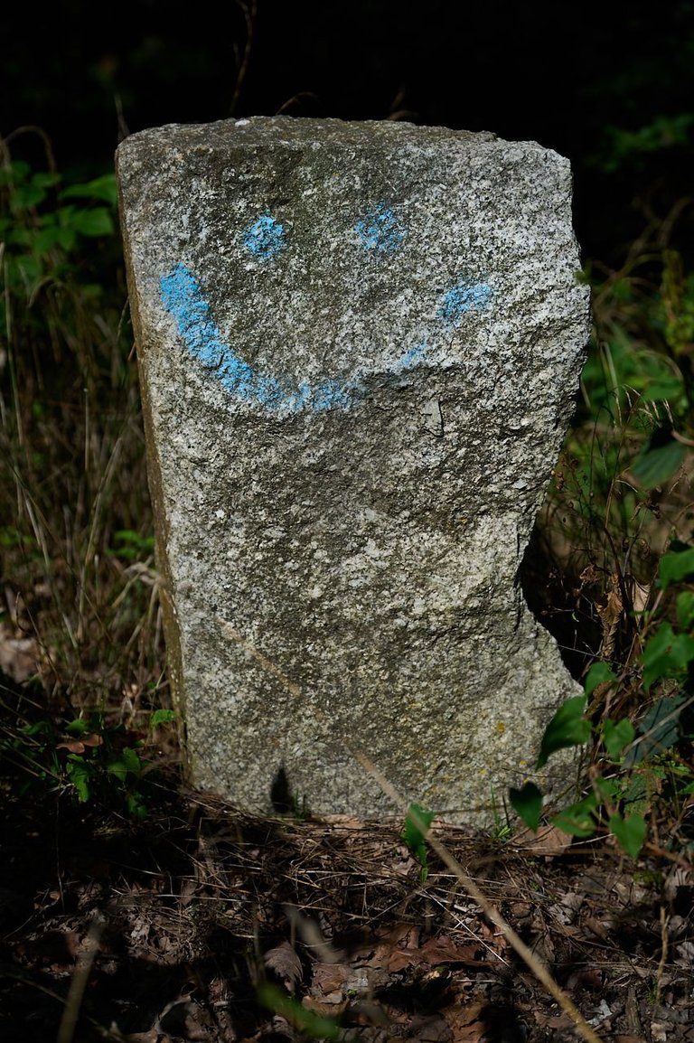 RSphotos-23-08-15-RSP_4163.jpg