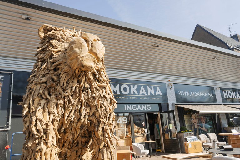 Mokana_48.JPG