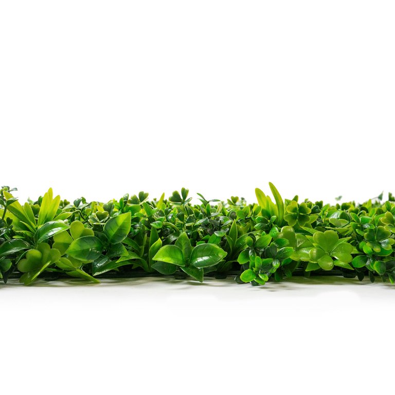 web_leafely_36.JPG