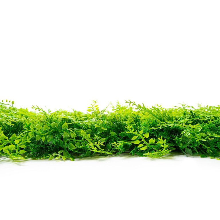 web_leafely_35.JPG