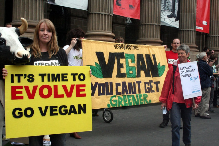 Can We Truly Live Without Animal Products?