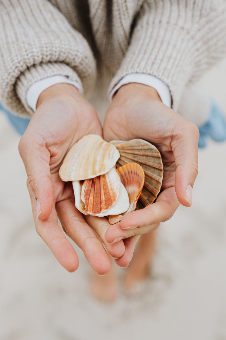 kaboompics_A young woman on the beach is holding seashells.jpg