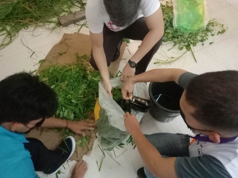 Silage making