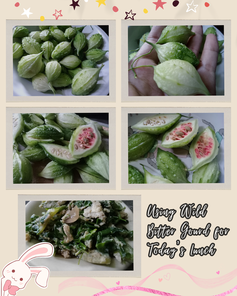 Beige Trendy Self-Care Photo Collage Instagram Post_20250505_144316_0000.png
