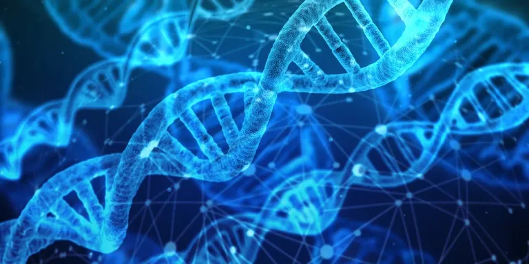 dna-3539309_1280.webp.jpg