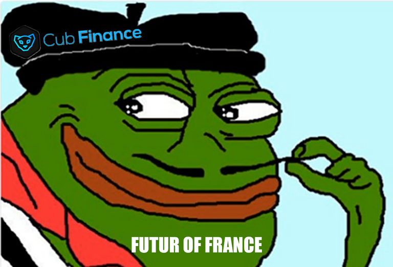 Cub-Finance-Future-of-finance-pepe.png