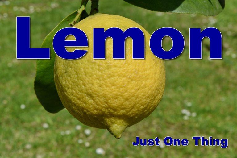 lemon.png