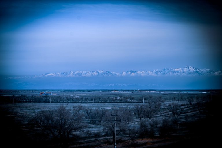 DSC03799-Enhanced-NR.jpg