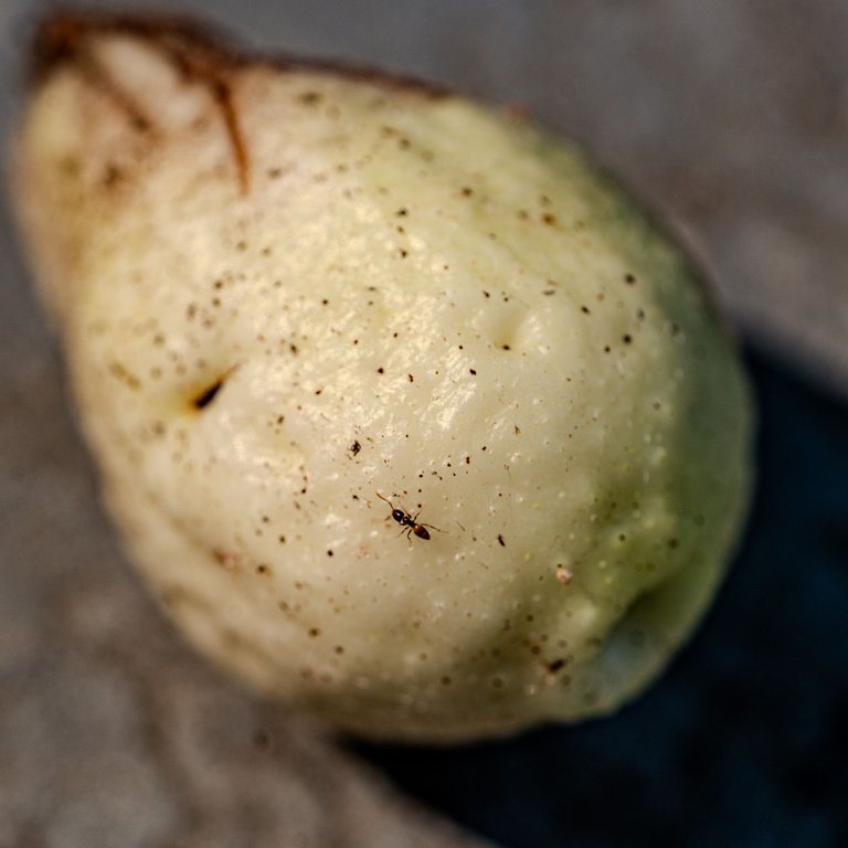 DSC02653.jpg