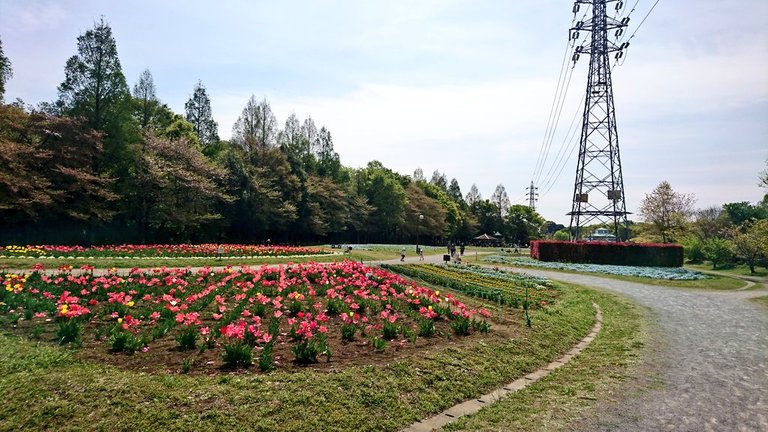 IMG_jn06og.jpg