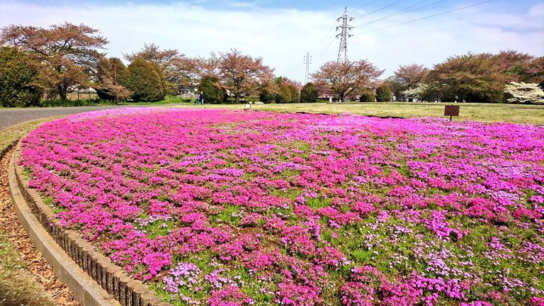 IMG_jx8vw8.jpg