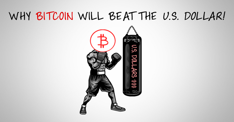 Bitcoin_Beats_USD_Thumbnail.png