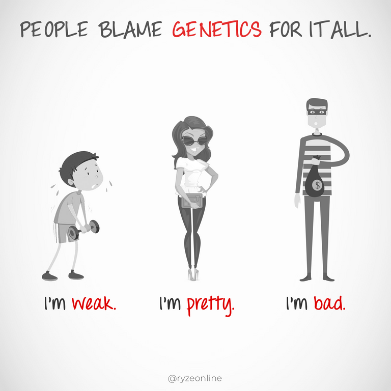 240_Genetic_Genius.png