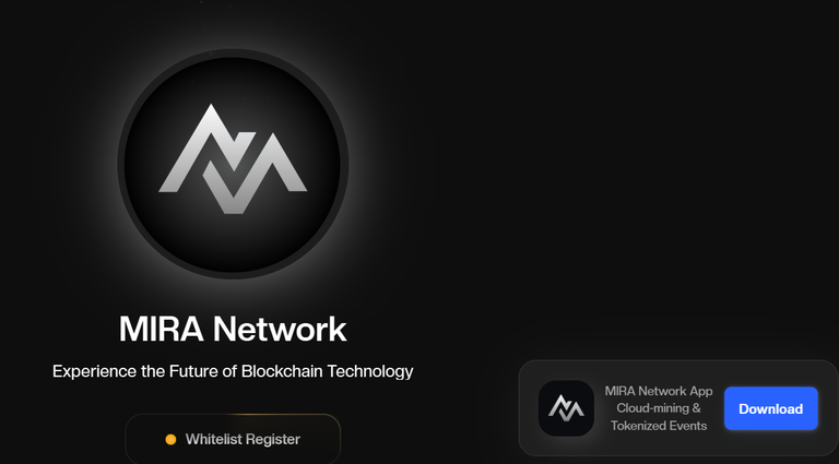 TheMIRANetwork.png