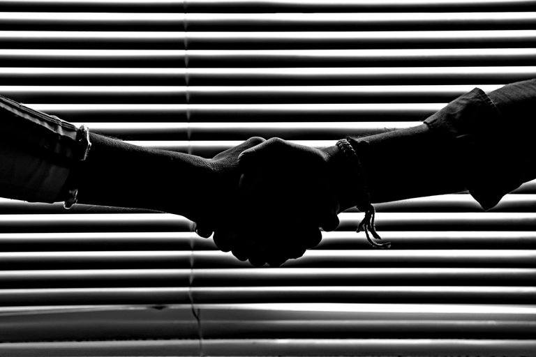 pexels-savvas-stavrinos-814544-Shaking Hands.jpg