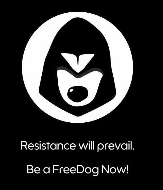 04-FreeDog.jpg