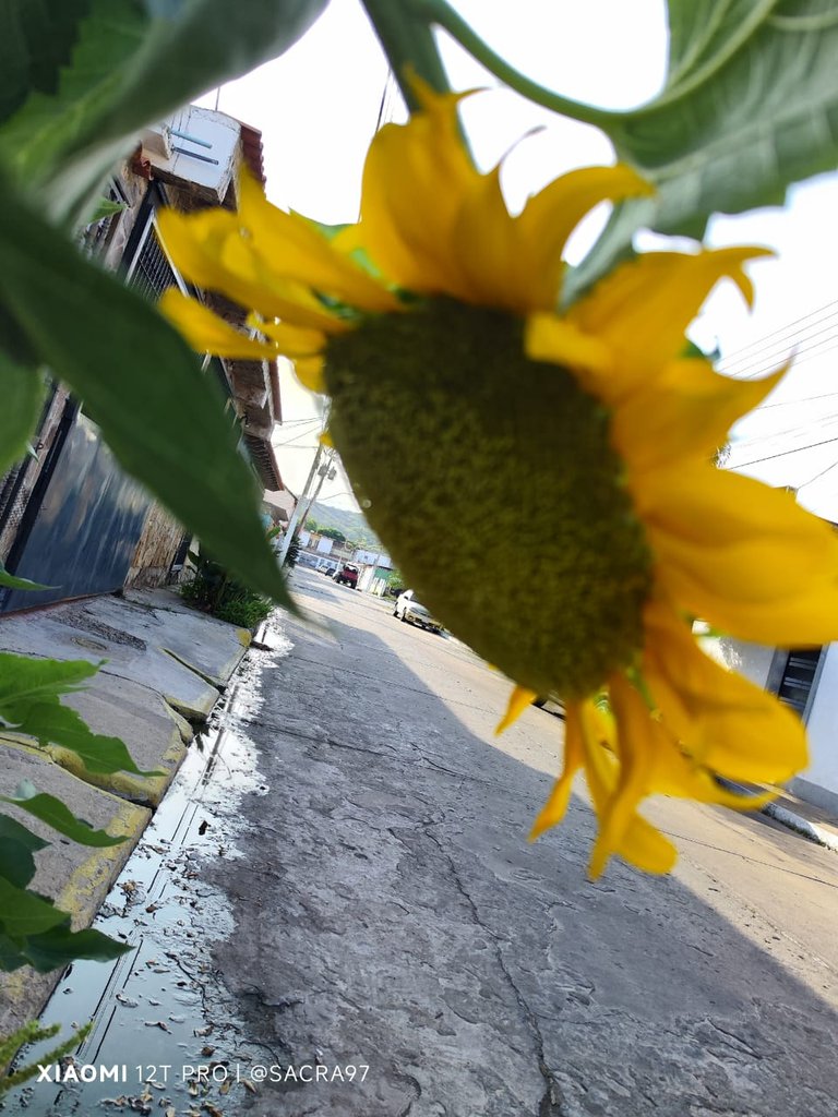 Sin título-3.jpg