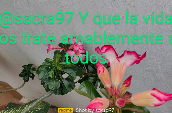 imagen.png