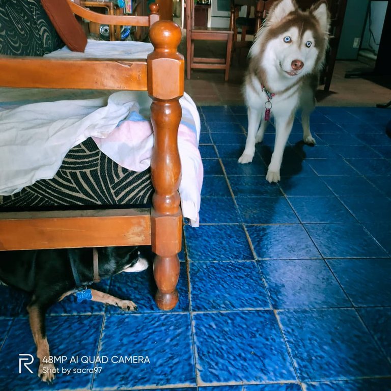 Sin título-3.jpg