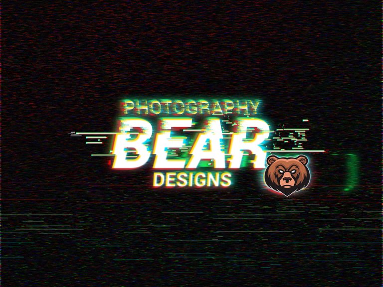BearDesigns Flyer glicht effect.jpg