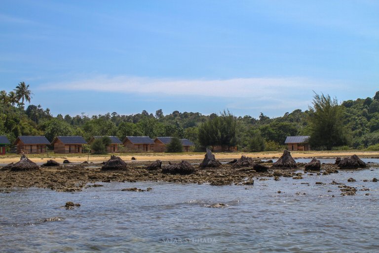 pulau raya 3.jpg