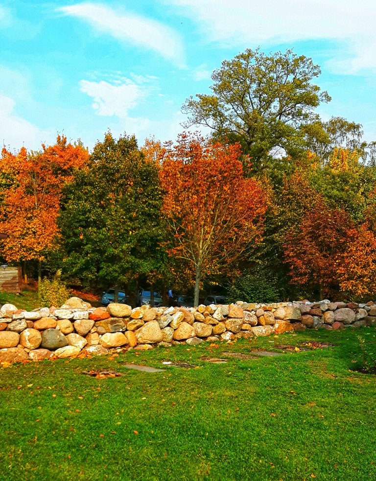 IMG_20201104_190231.jpg