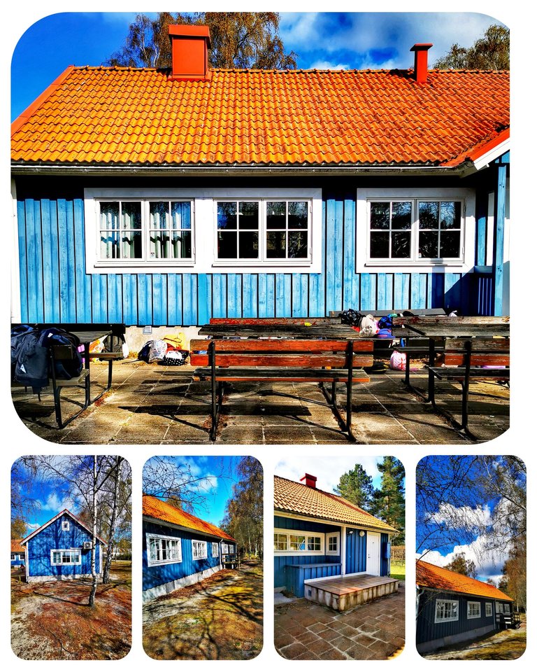 InCollage_20230514_194352729.jpg