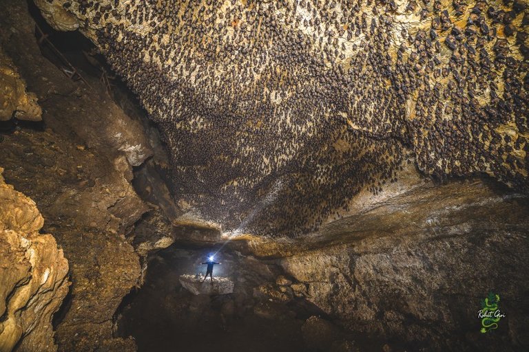 bat-cave-pokhara-109091613018258qshutzamks.jpg