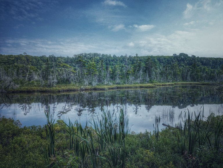 a view at  sand point marsh