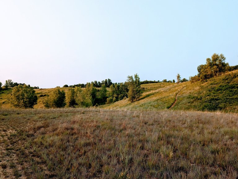 PXL_20230711_112627347.jpg