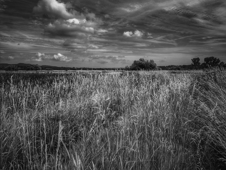 Monomad Challenge : Upper Mississippi River Wildlife Refuge Views