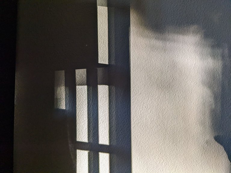 PXL_20221121_134545042.jpg