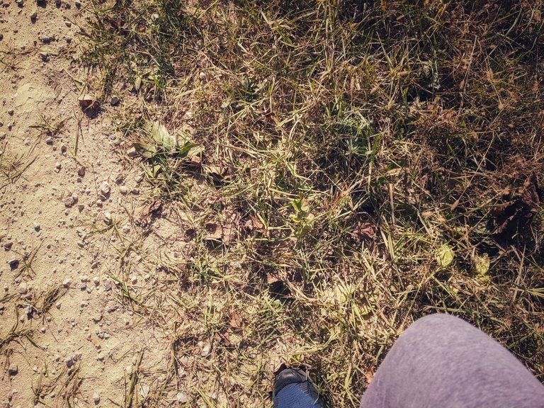 PXL_20221015_182843224_edited.jpeg