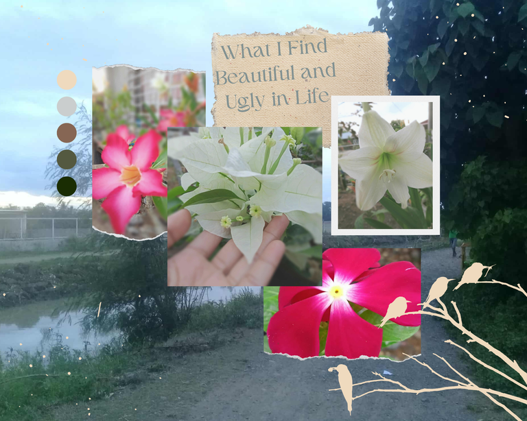 What I Find Beautiful and Ugly in Life