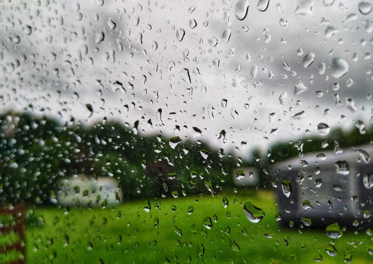 We have 'escaped' from the torrid Italian heat and, right now, we are in a beautiful rain with lots of wind on the Lithuanian coast: it is divine! 😍